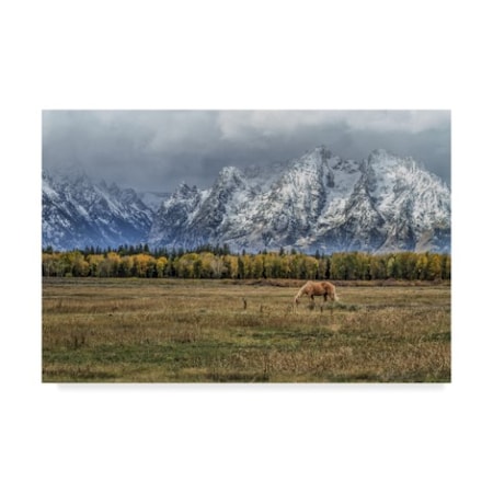 Galloimages Online 'Fine Dining In The Tetons' Canvas Art,30x47